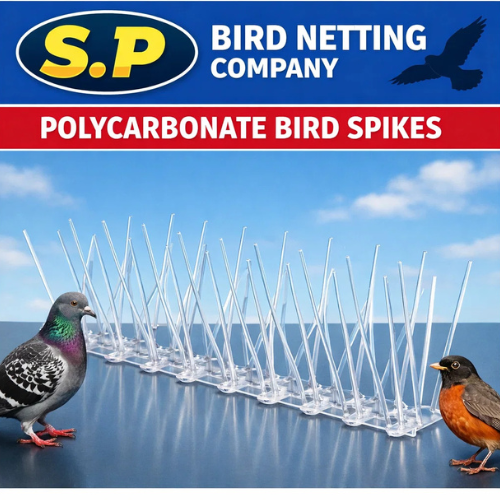 S.P.birdsnet